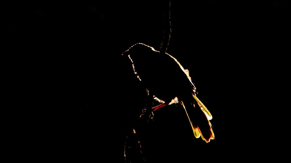 Photograph by Jemy Jose Mathew