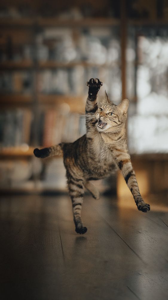 Photograph by Liu Lock