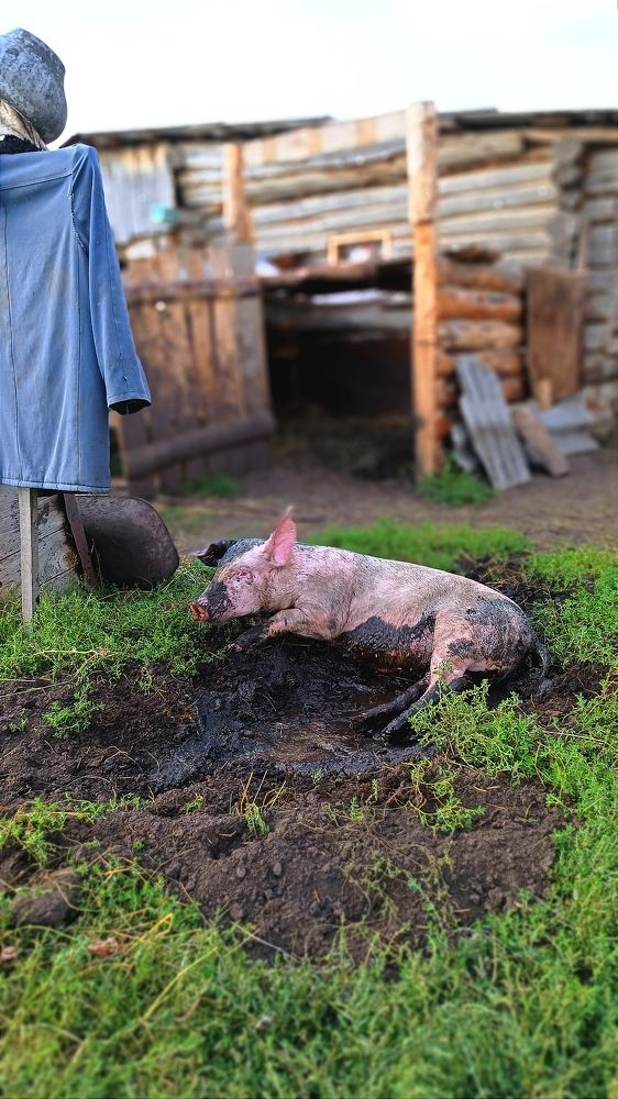 Танки грязи не боятся