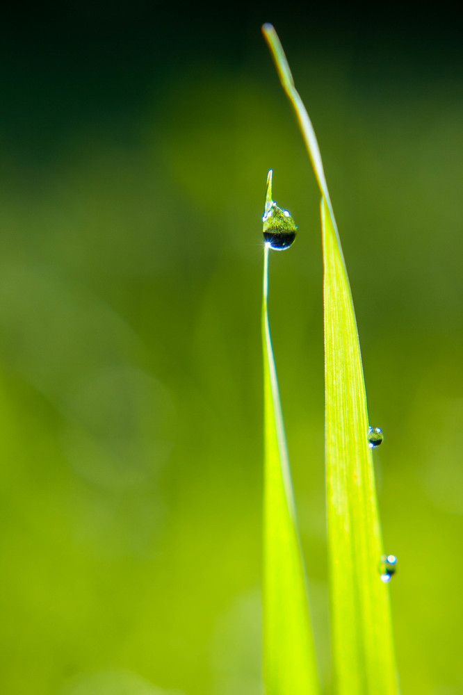 Фотография автора Ирина Гриценко