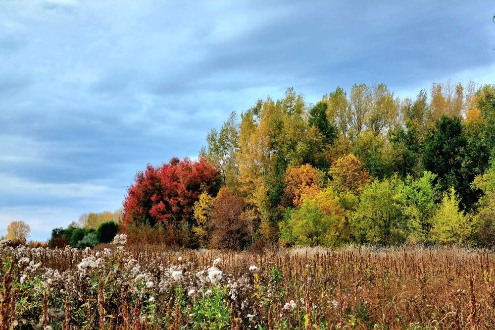 Photograph by Наталья Анисимова
