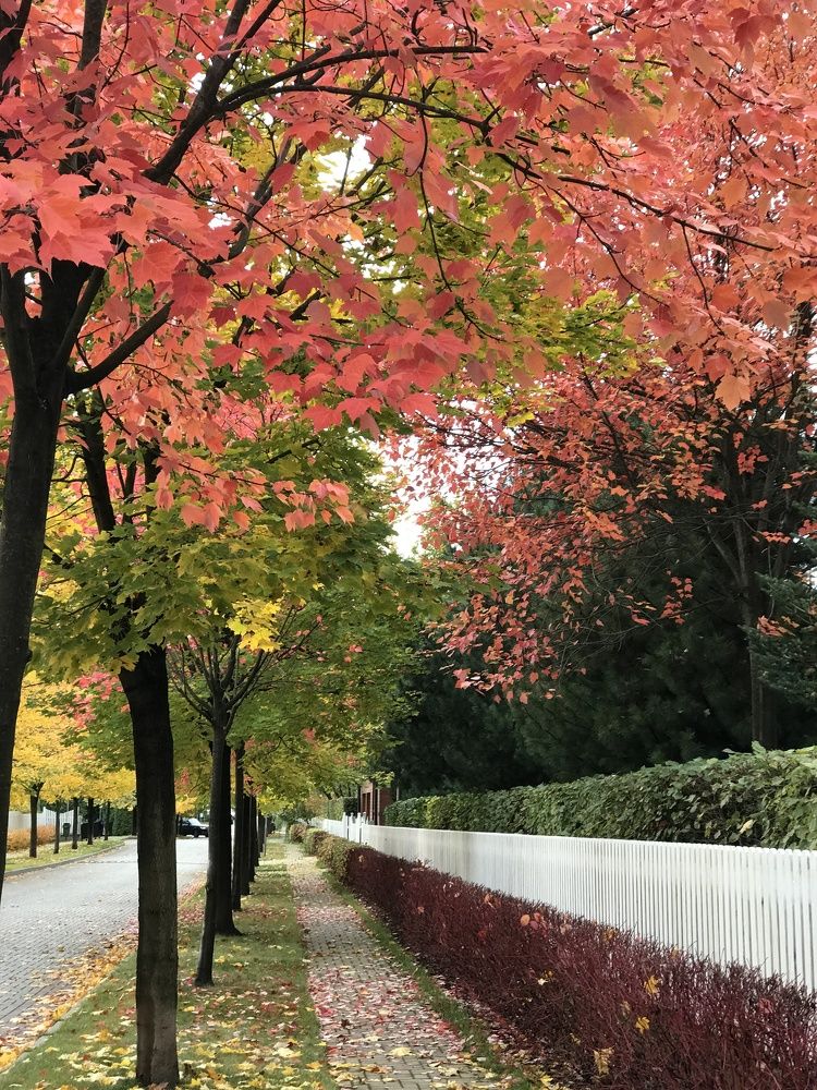 Photograph by Татьяна Шибанова