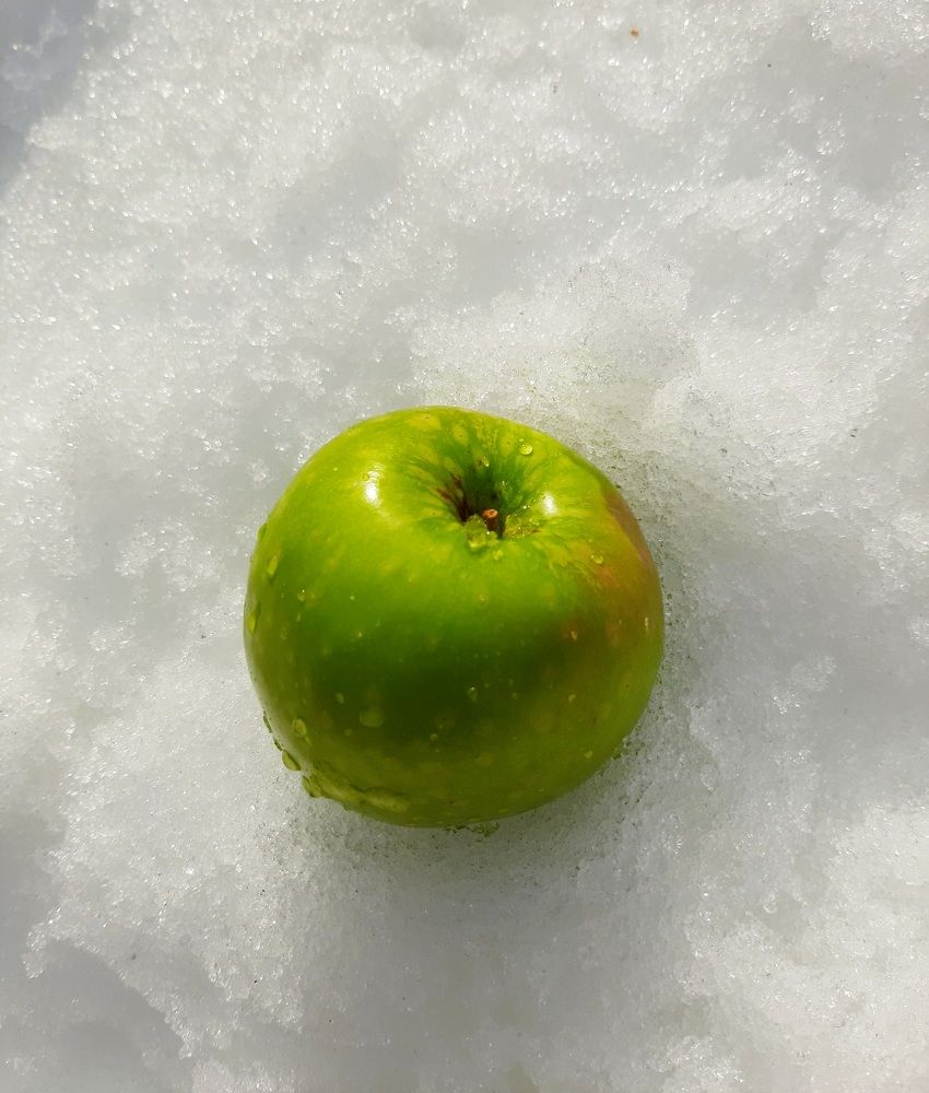 Photograph by Анастасия Тазиева