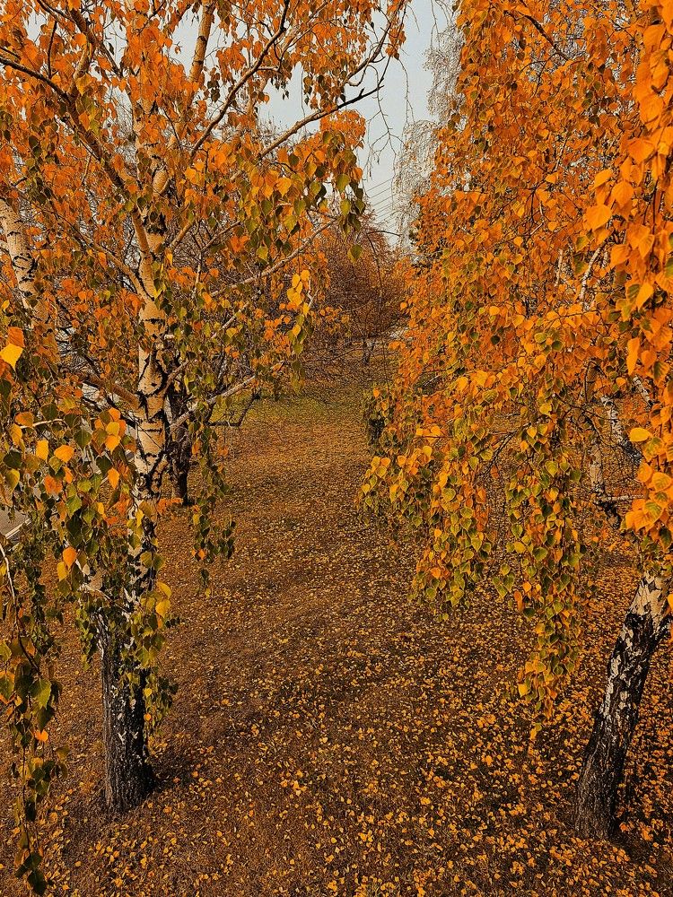 Фотография автора Максим Грибанов