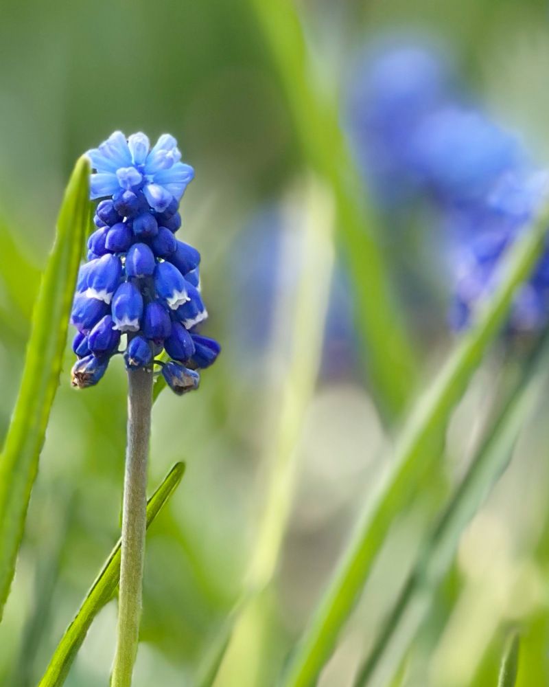 Photograph by Татьяна Волохова