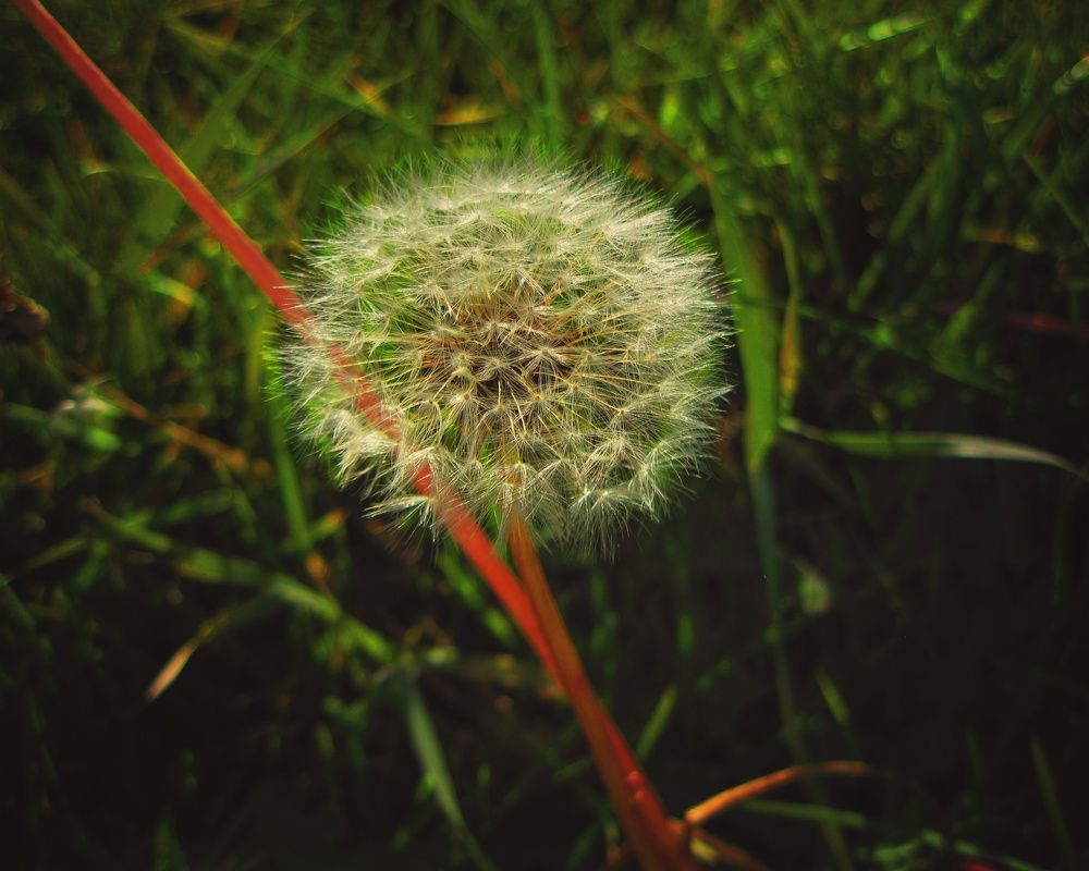 Photograph by Kanat Amre