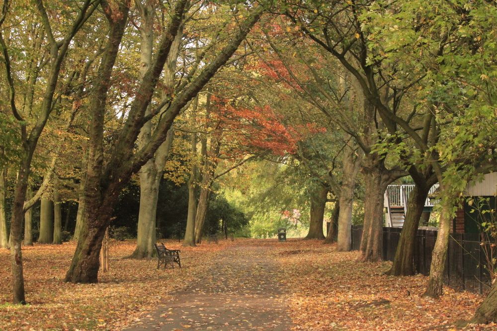 Photograph by Sharad vadoliya