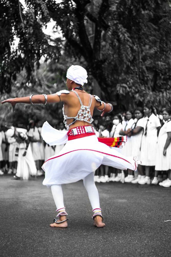 Photograph by M. Sineth Chanthula Weerasingha