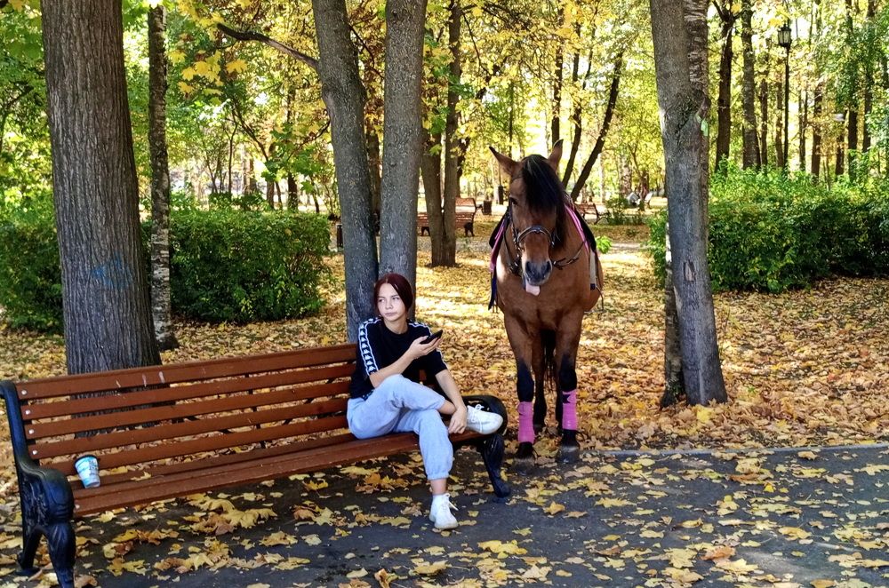 Фотография автора Леонид Летягин