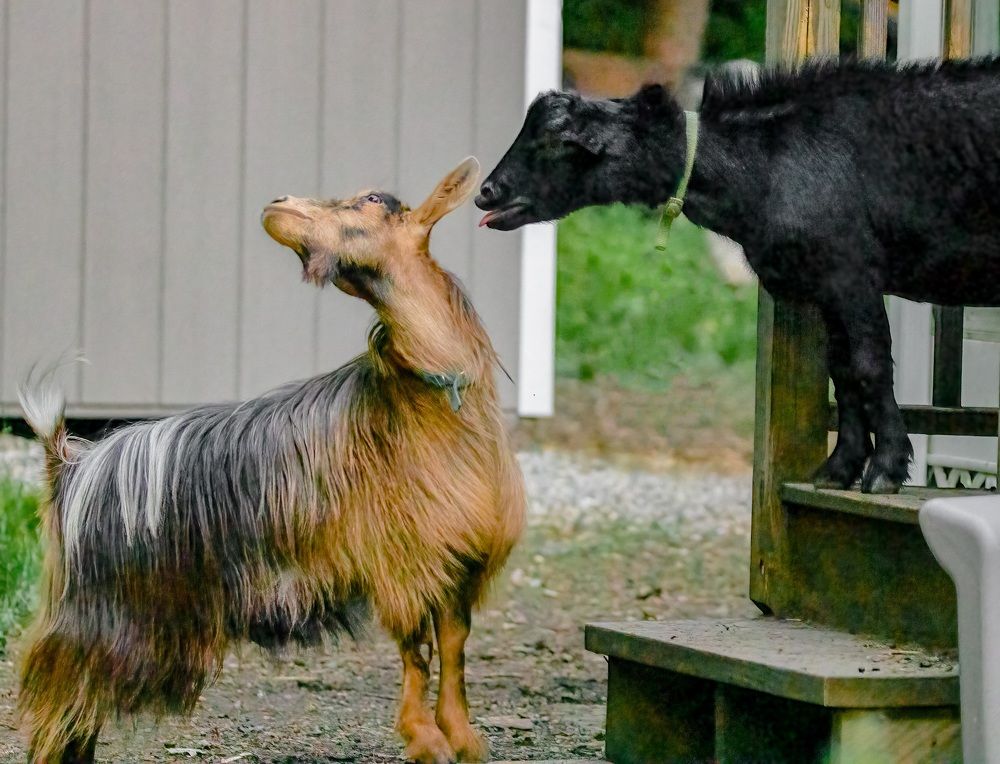 Photograph by Elaina Holland