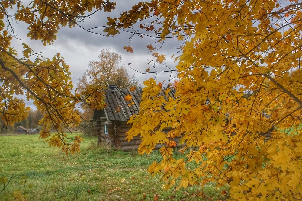 Photograph by Сергей Гуляев