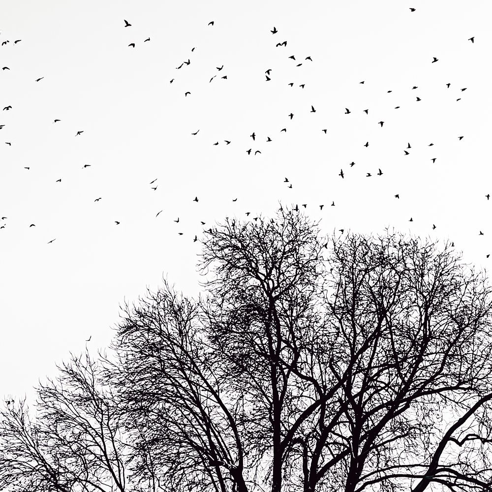 Photograph by Arindam Banerjee