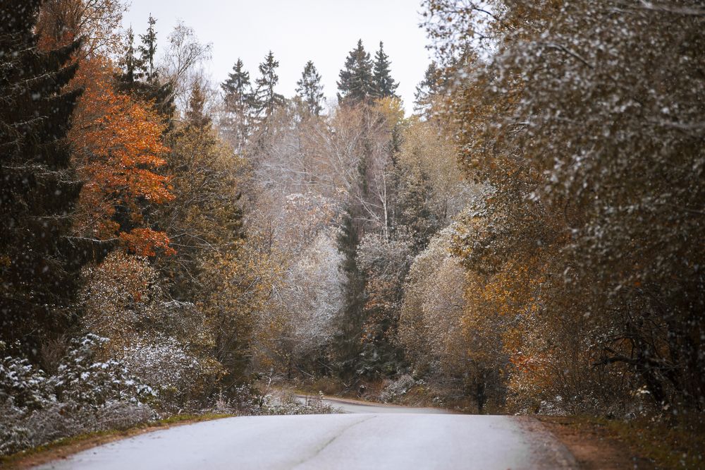 Photograph by Мария Саврасова