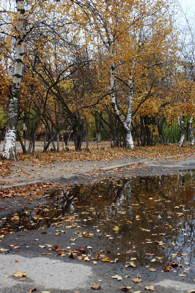 Photograph by Дарья Колесниченко