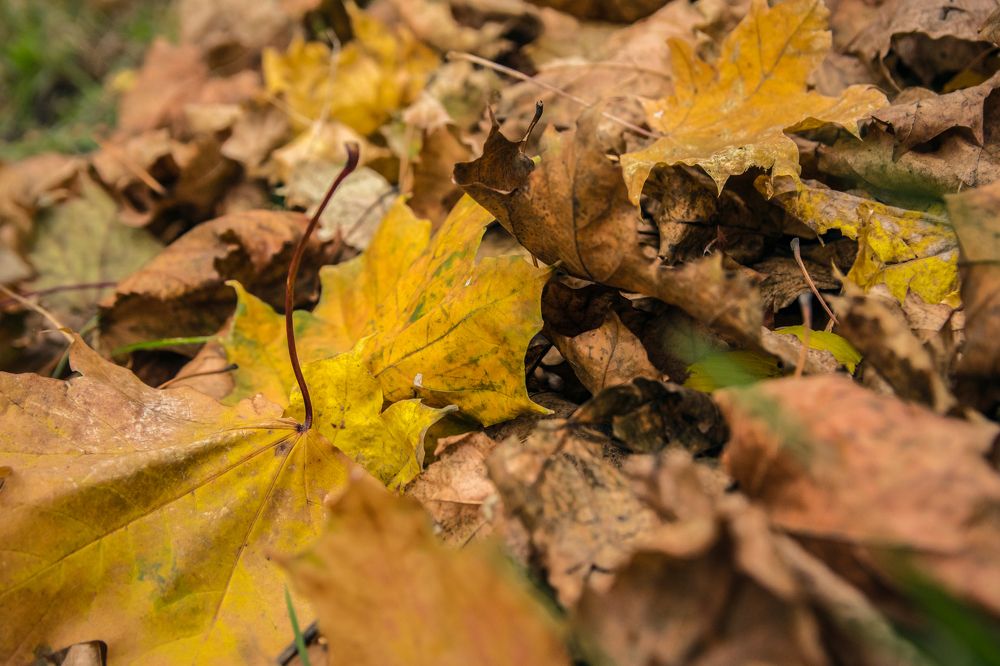 Photograph by Антон Гаврилов