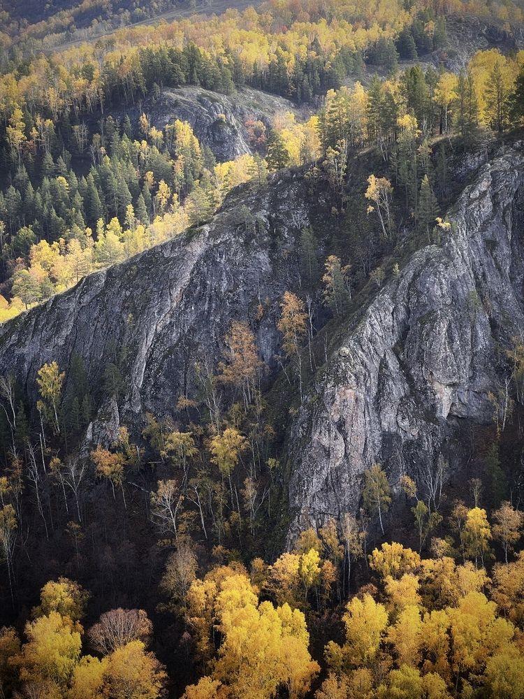Фотография автора Дарья Кузнецова