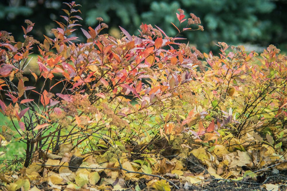 Photograph by Антон Гаврилов