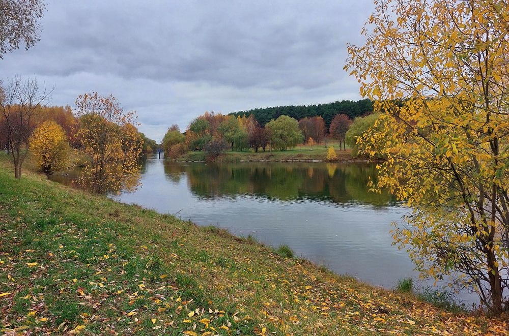 Photograph by Шкарупа Тамара