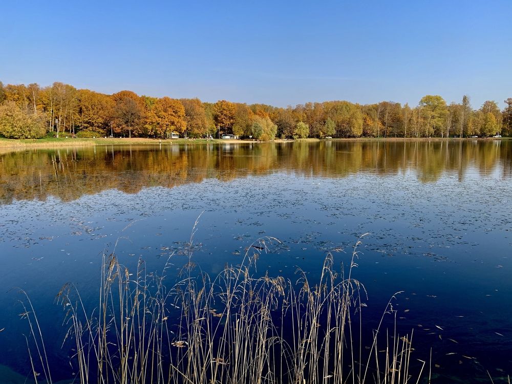 Photograph by Ирина