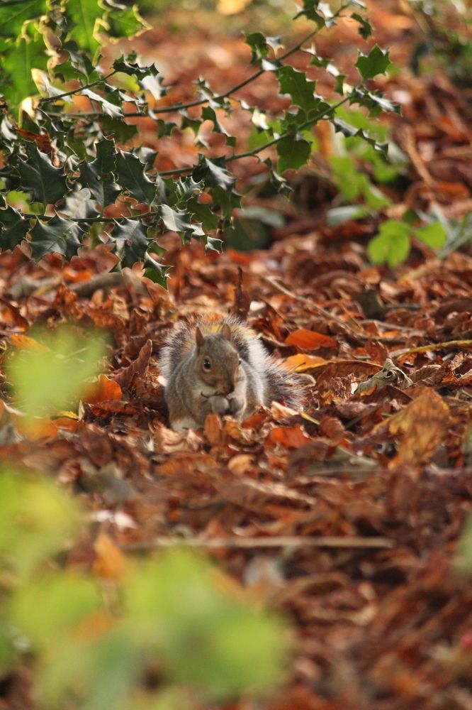 Photograph by Sharad vadoliya