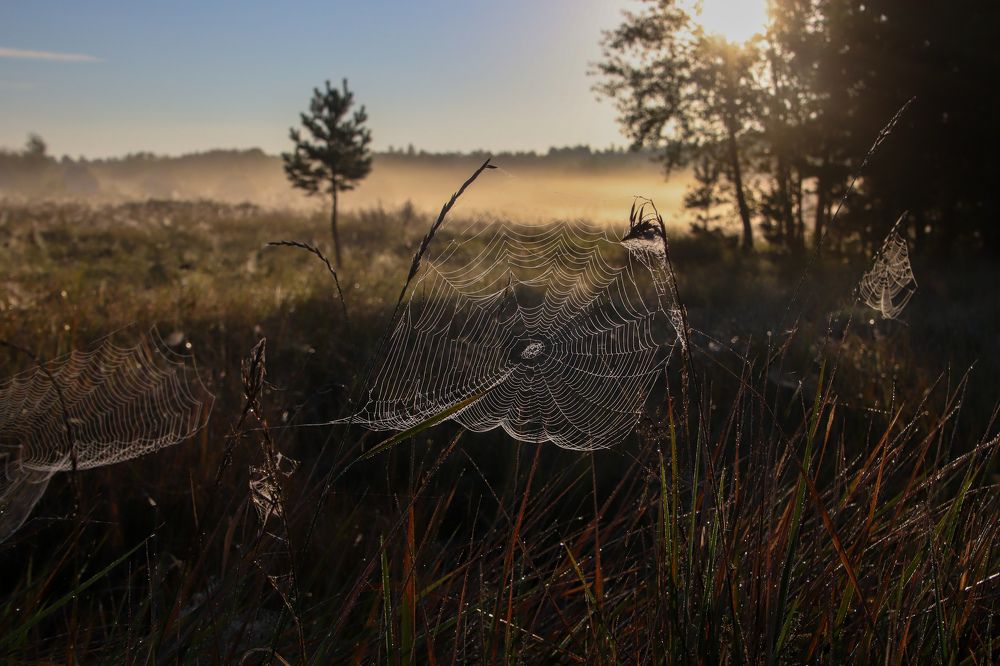 Photograph by Наталья Трифуз