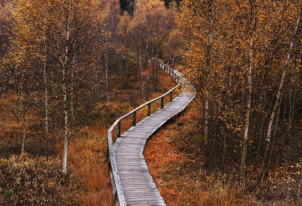 Photograph by Екатерина Карпова