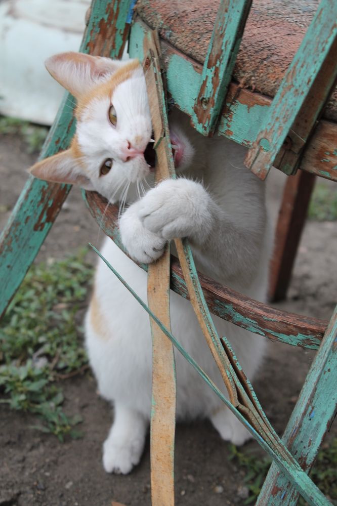 Photograph by Анна Горбунова