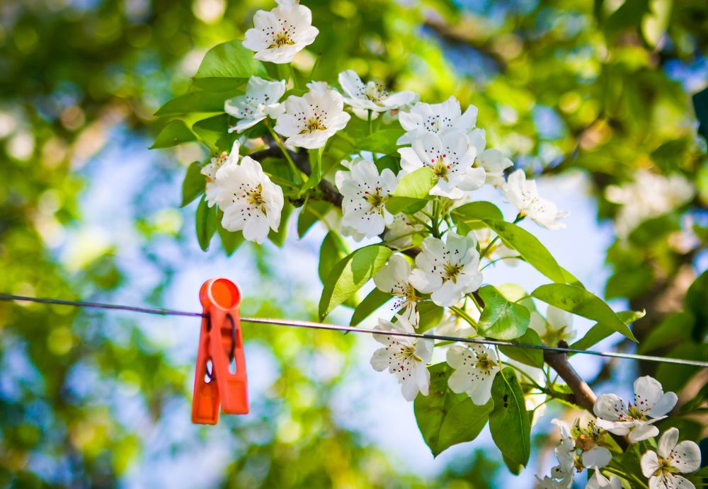 Photograph by Николай Осипенко