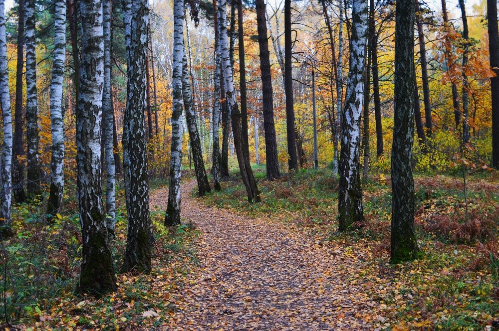Время листопада.