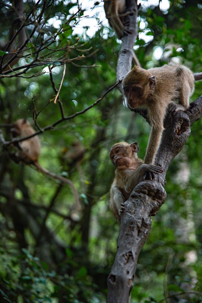 Photograph by Елена Прохорова