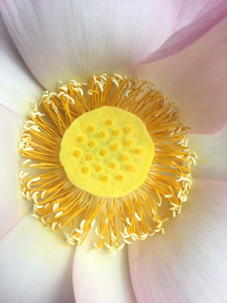 Photograph by Sharad vadoliya