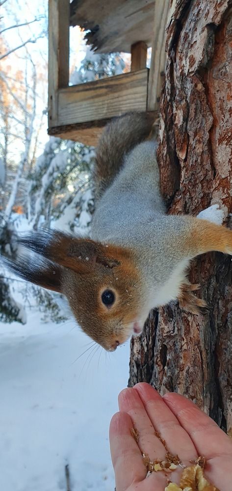 Photograph by Ольга