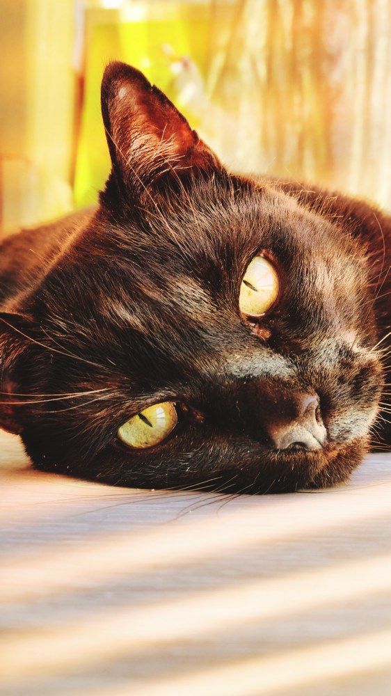 Photograph by Ольга