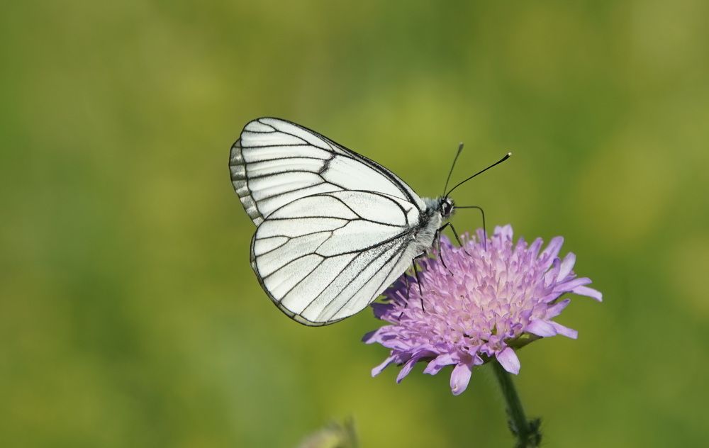 Photograph by сергей мишаков