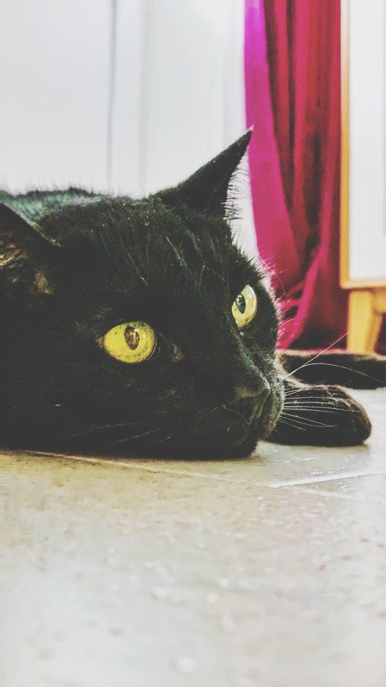 Photograph by Ольга