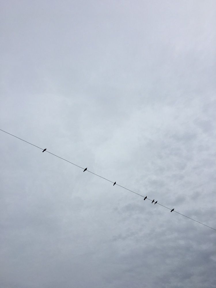 Photograph by Sharad vadoliya