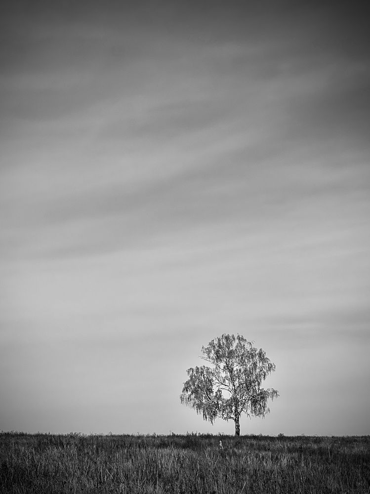 Фотография автора Дарья Кузнецова