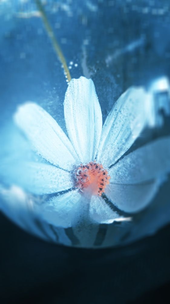 Photograph by Ольга Рыкова