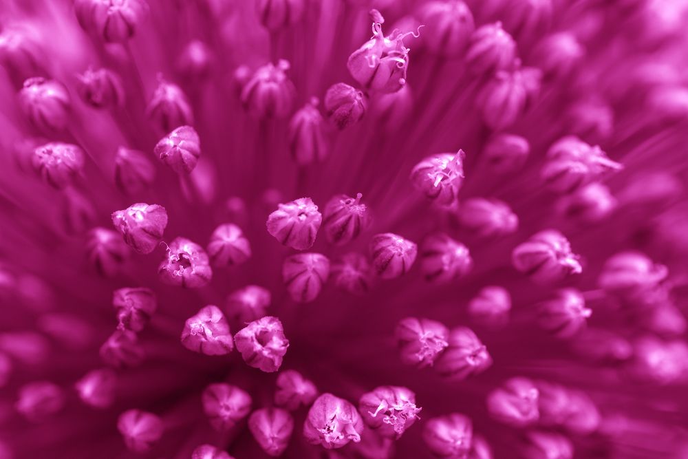 Photograph by Aleš Maučec