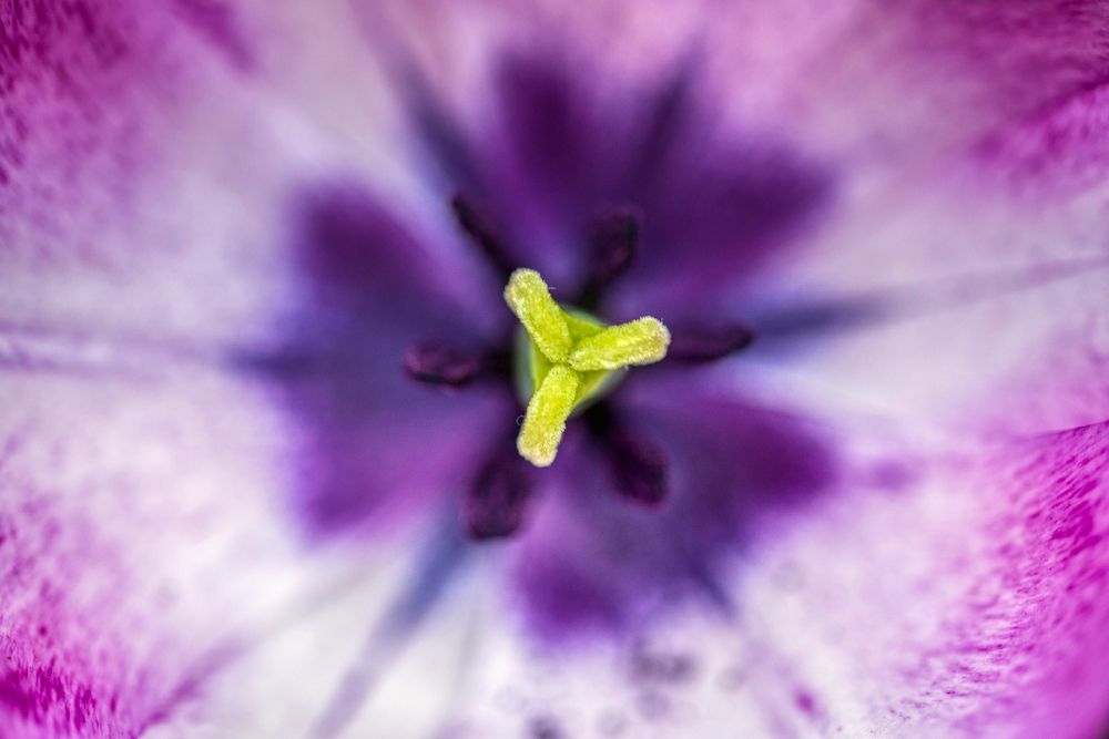 Photograph by Aleš Maučec