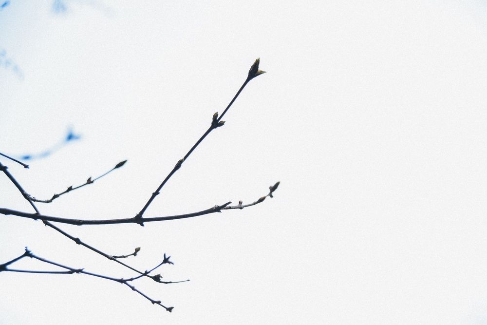 Photograph by Виктория Куликова