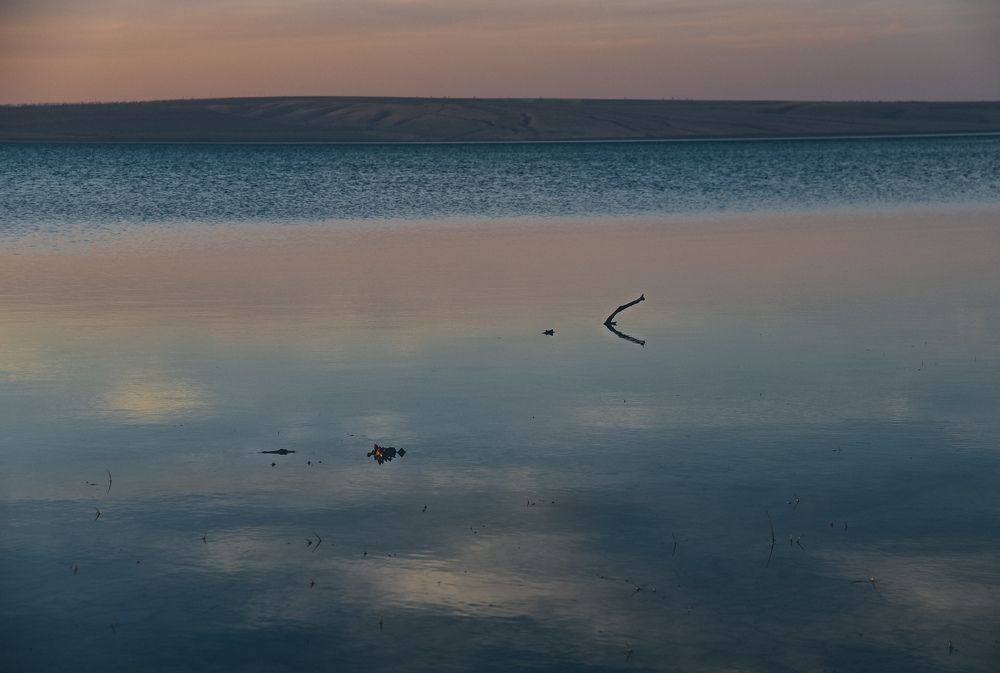 Photograph by Виктория Куликова