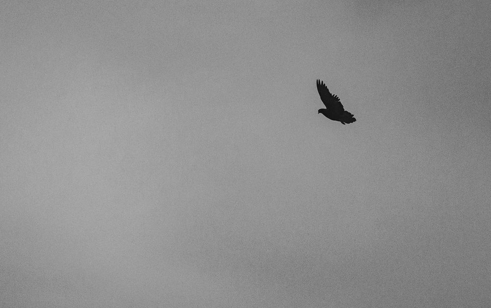 Photograph by Виктория Куликова