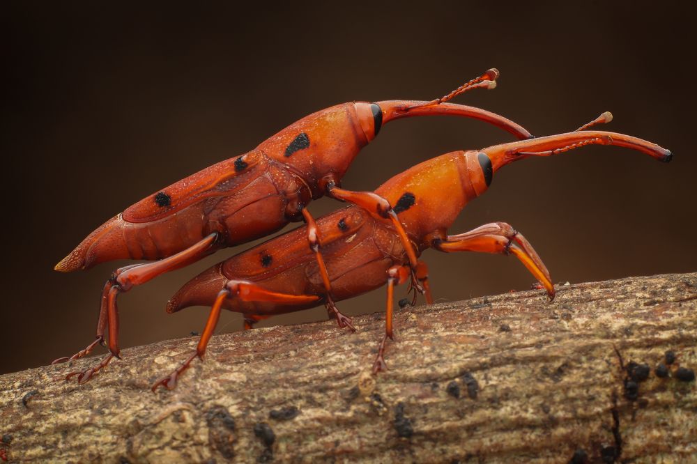 Photograph by Mark Kineth Casindac