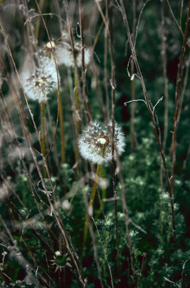 Photograph by Виктория Куликова
