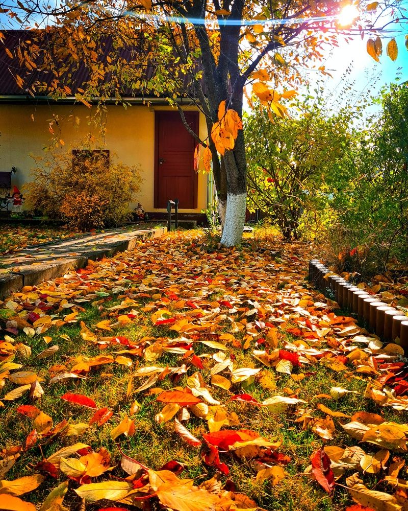 Photograph by Татьяна Соколовская