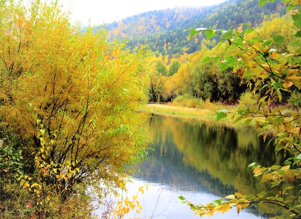 На реке Голоустной