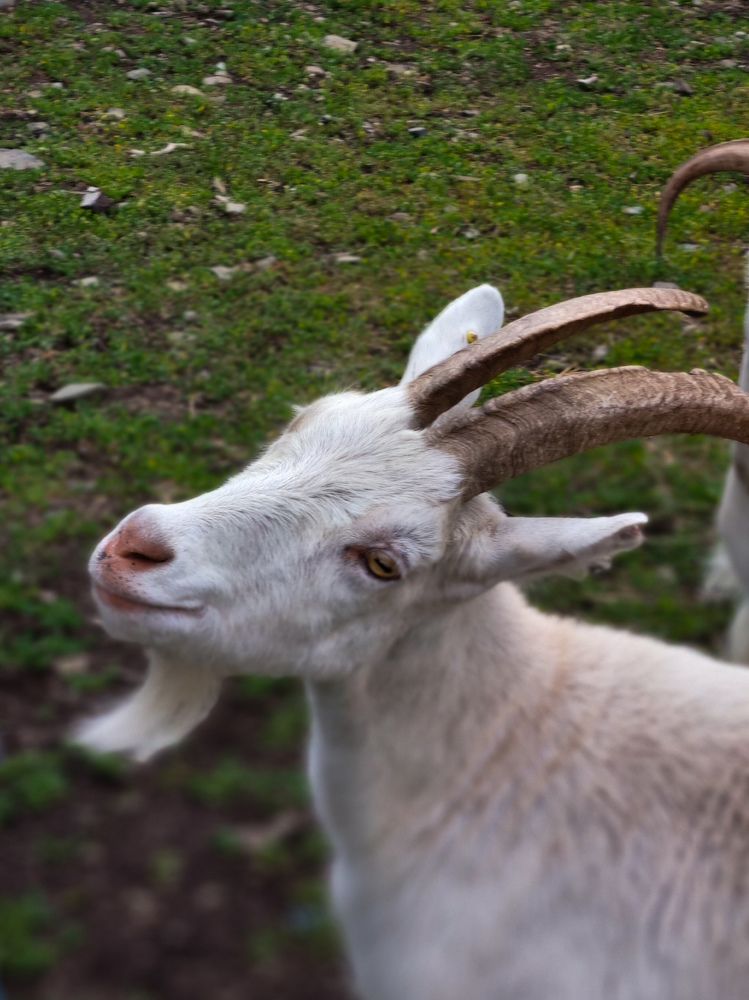 Photograph by Ольга