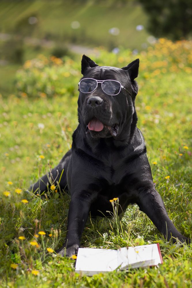 Photograph by Гузалия Галиуллина