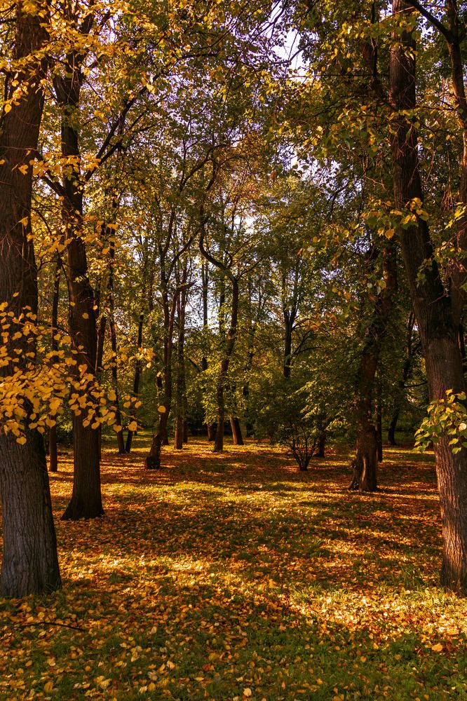 Photograph by Виктор Саврей